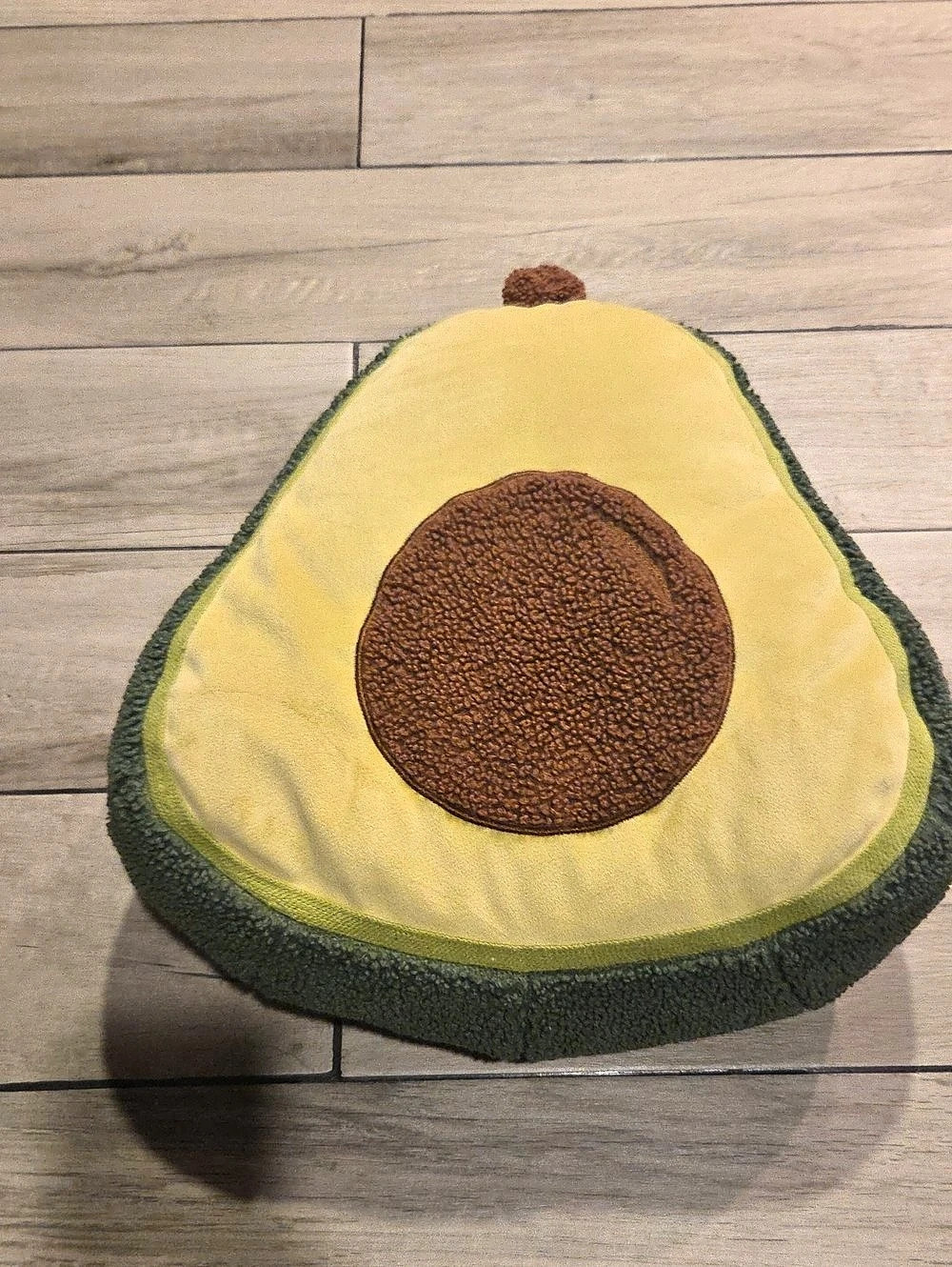 Avocado Accent Pillow in Green & Yellow